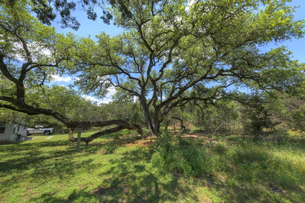 New Braunfels, Texas 78132, United States, 3 Bedrooms Bedrooms, ,2 BathroomsBathrooms,Residential,Pending,53986