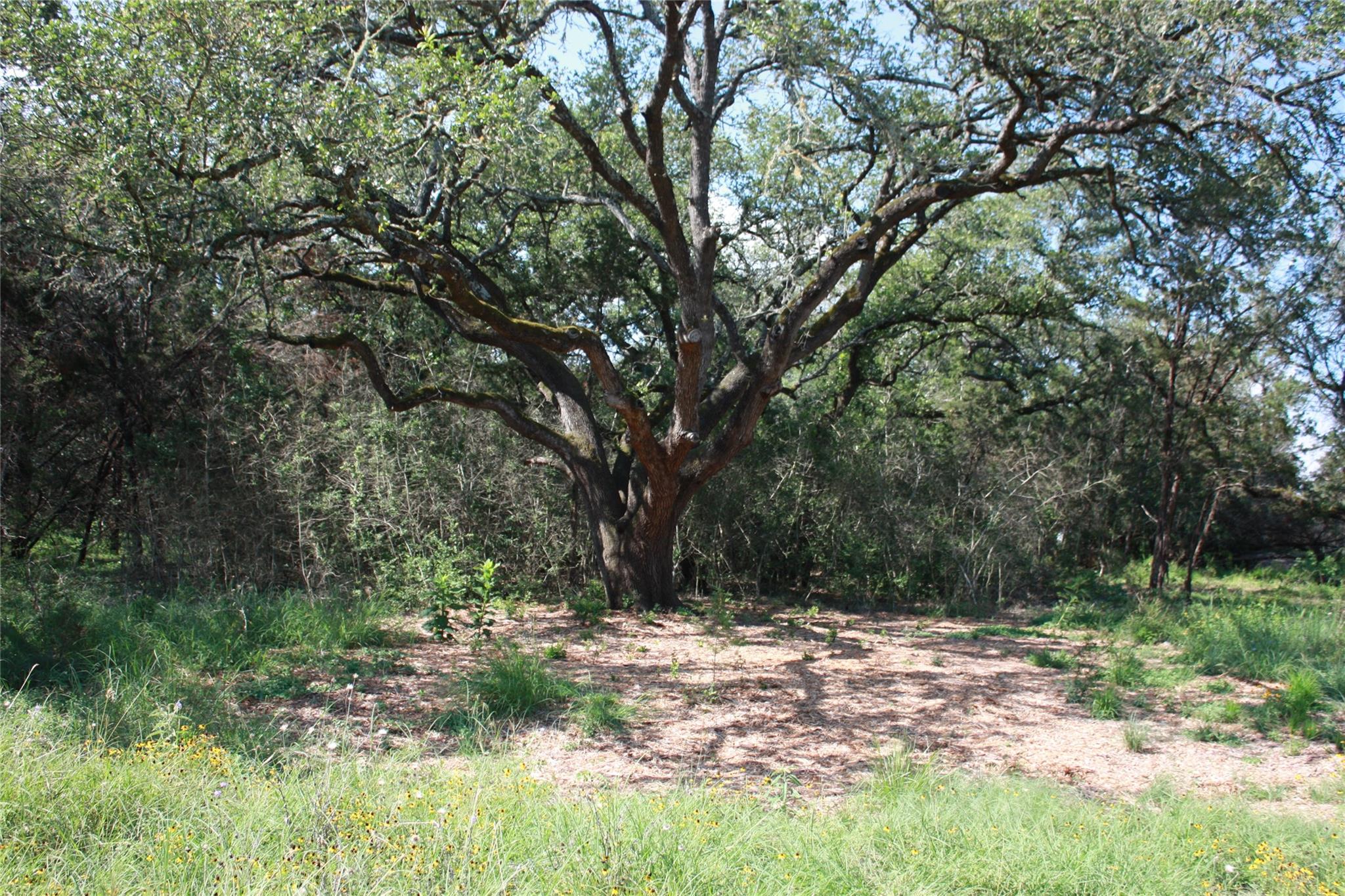 New Braunfels, Texas 78132, United States, 3 Bedrooms Bedrooms, ,2 BathroomsBathrooms,Residential,Pending,53986