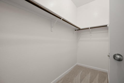 Tiny photo for 18317 Moreto LOOP, Pflugerville, TX 78660 (MLS # 9953282)