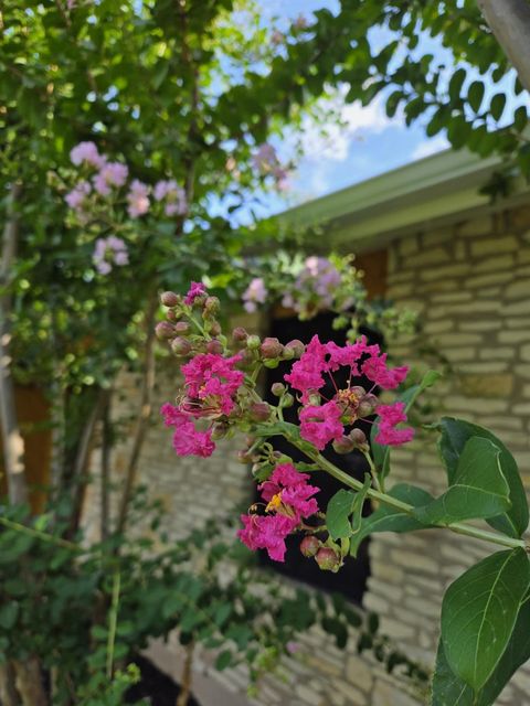 A home in Austin