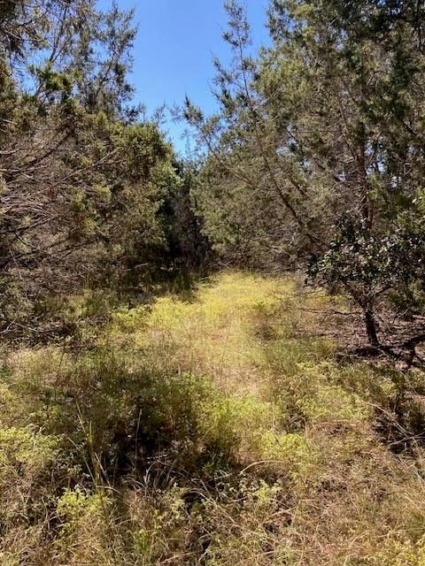 55 York Creek RD Driftwood TX 78619