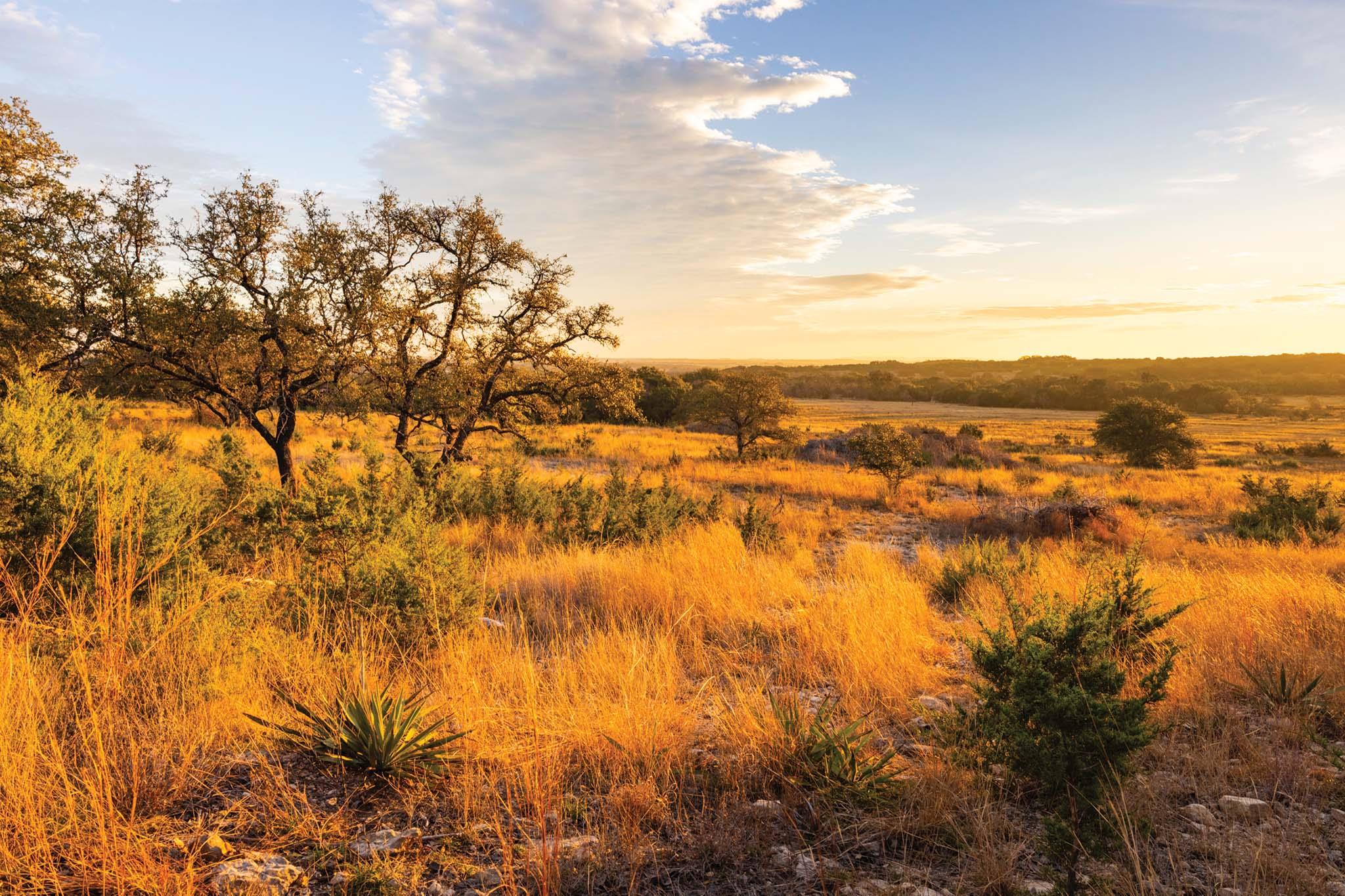 6729 US HWY 281 Highway