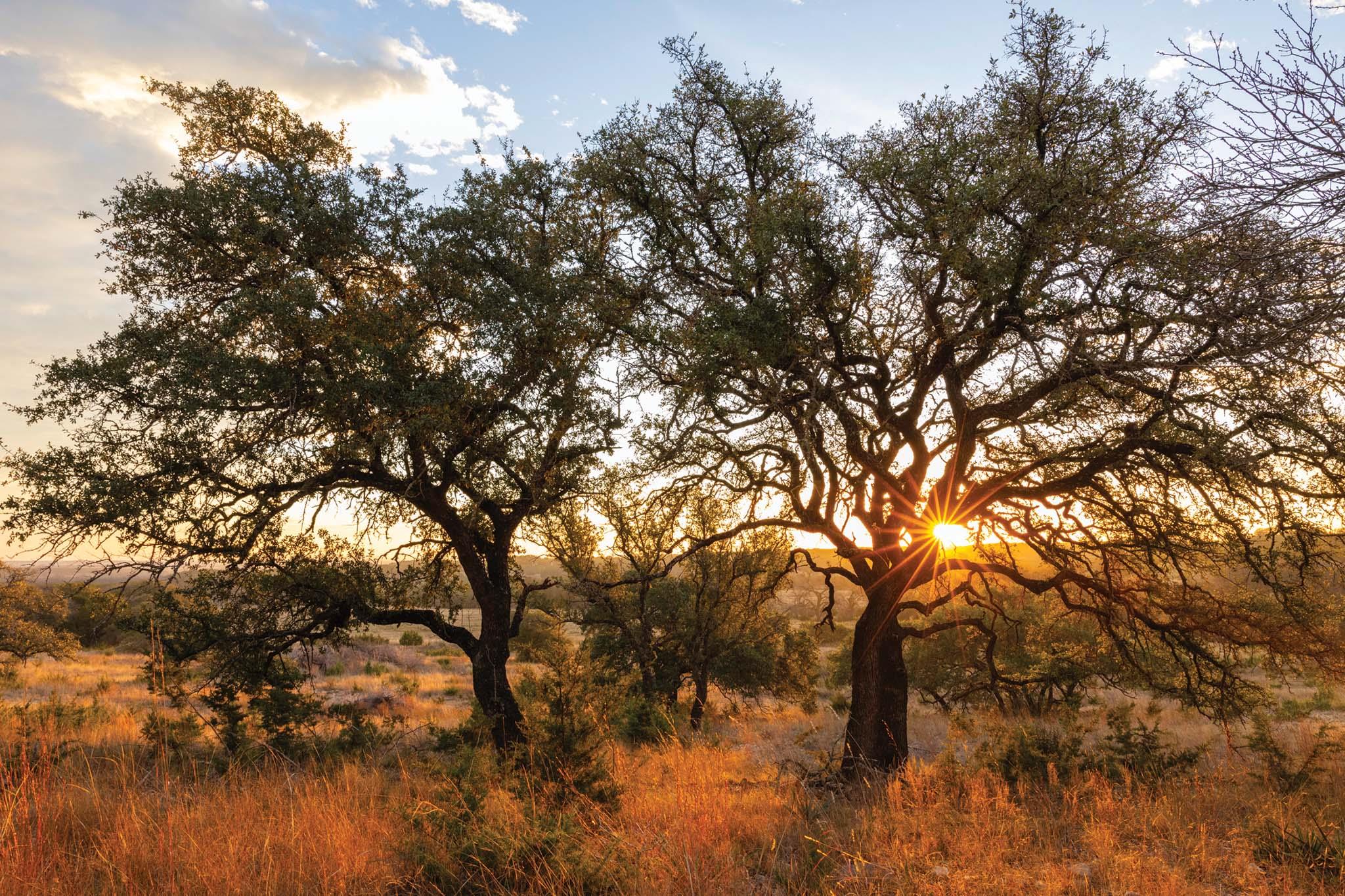 6729 US HWY 281 Highway