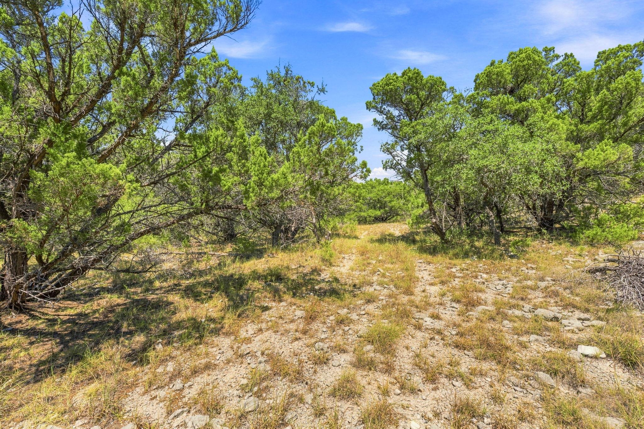 TBD 10.68 Ac Lipan RUN