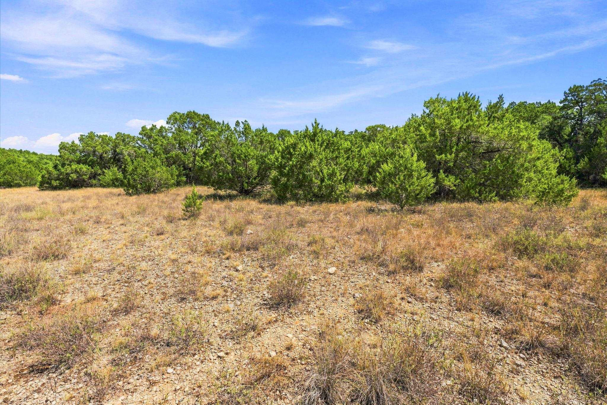 TBD 10.68 Ac Lipan RUN