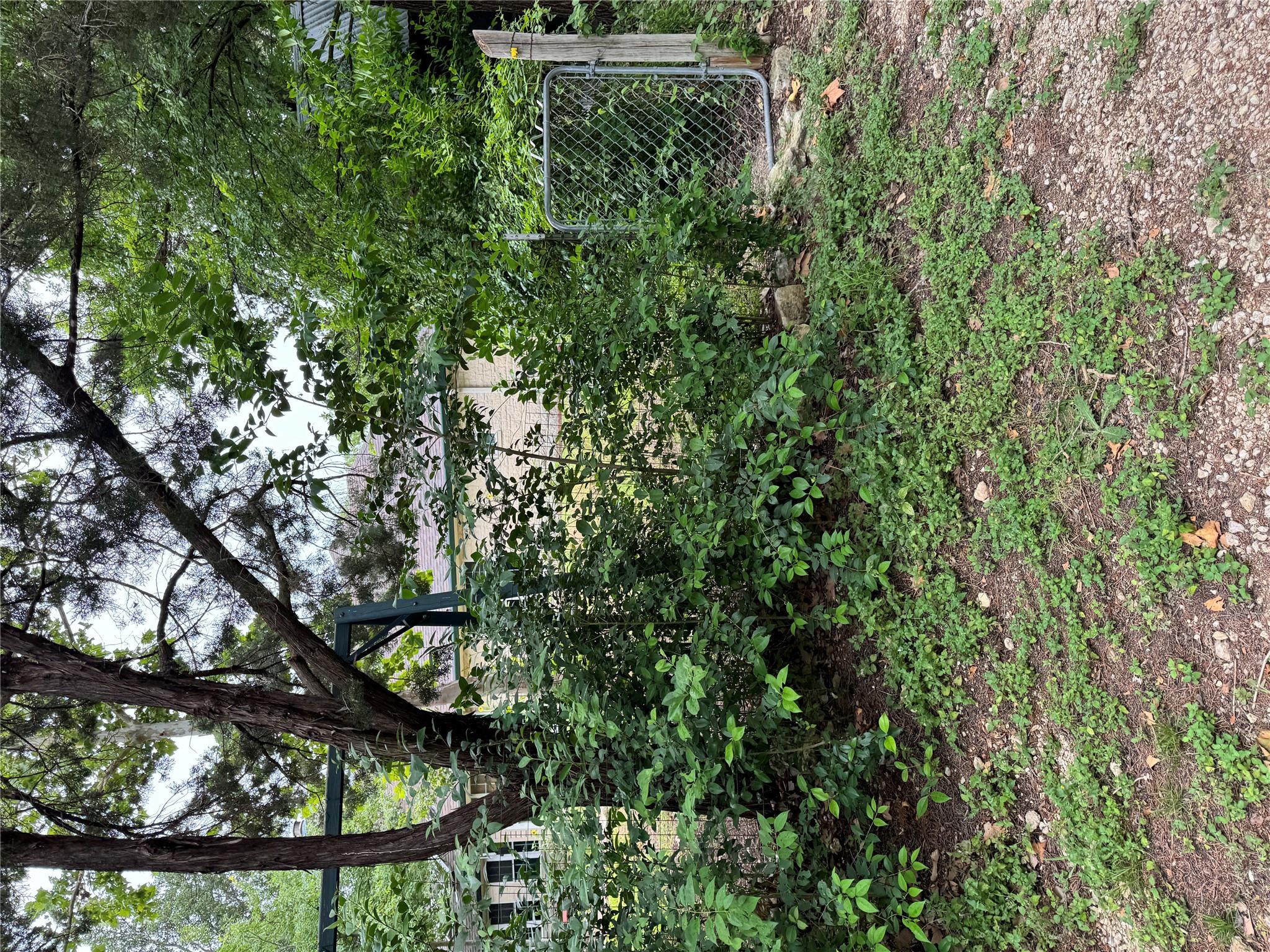 3201 Little Nolan RD
