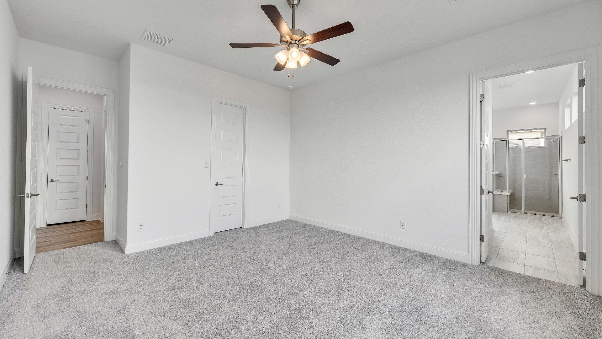 209 Rock Daisy TRL
