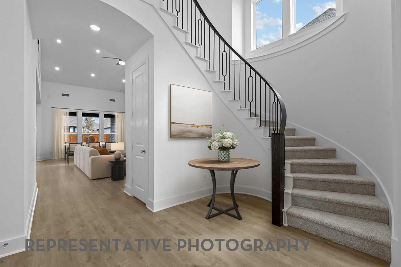129 Carnation CV