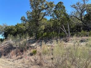 Photo of 19001 Silver Maple DR, Lago Vista, TX 78645 (MLS # 6554659)