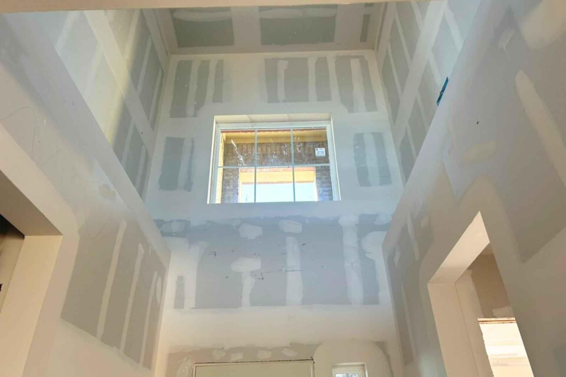 19513 Domino Champ RD