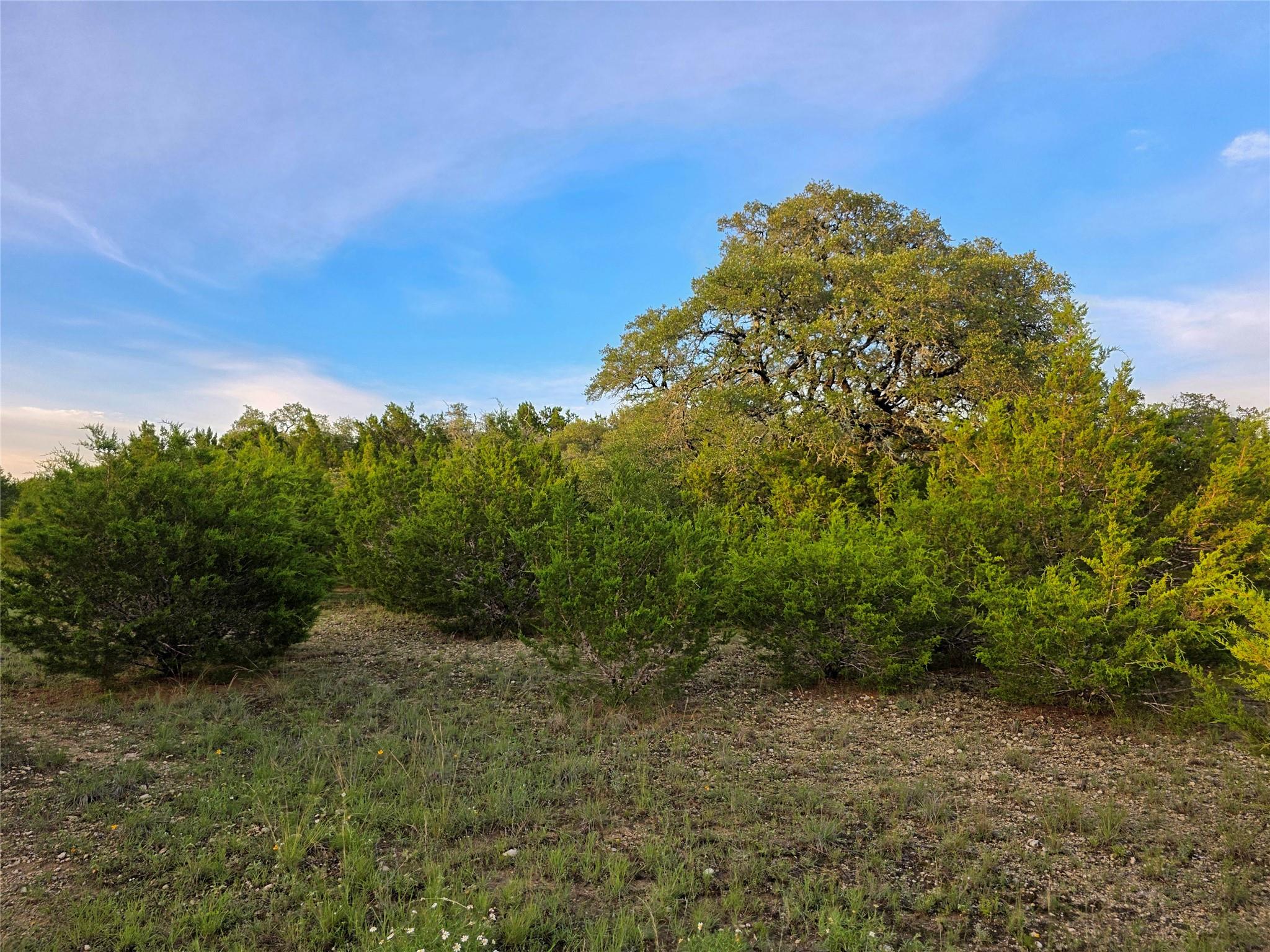 3000 Cty Road 207
