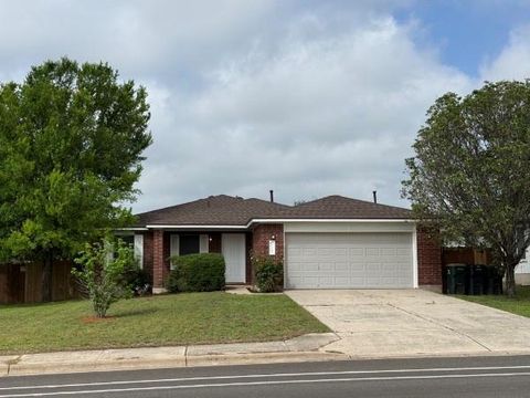 Photo of 213 Spring Branch DR, Kyle, TX 78640 (MLS # 7373478)