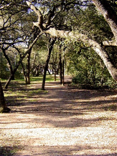 Tiny photo for 11522 Antigua DR, Austin, TX 78759 (MLS # 8806189)