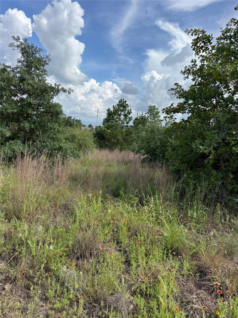 Photo of Lots 88, 89, 90 Pintail LN, Bastrop, TX 78602 (MLS # 6039080)