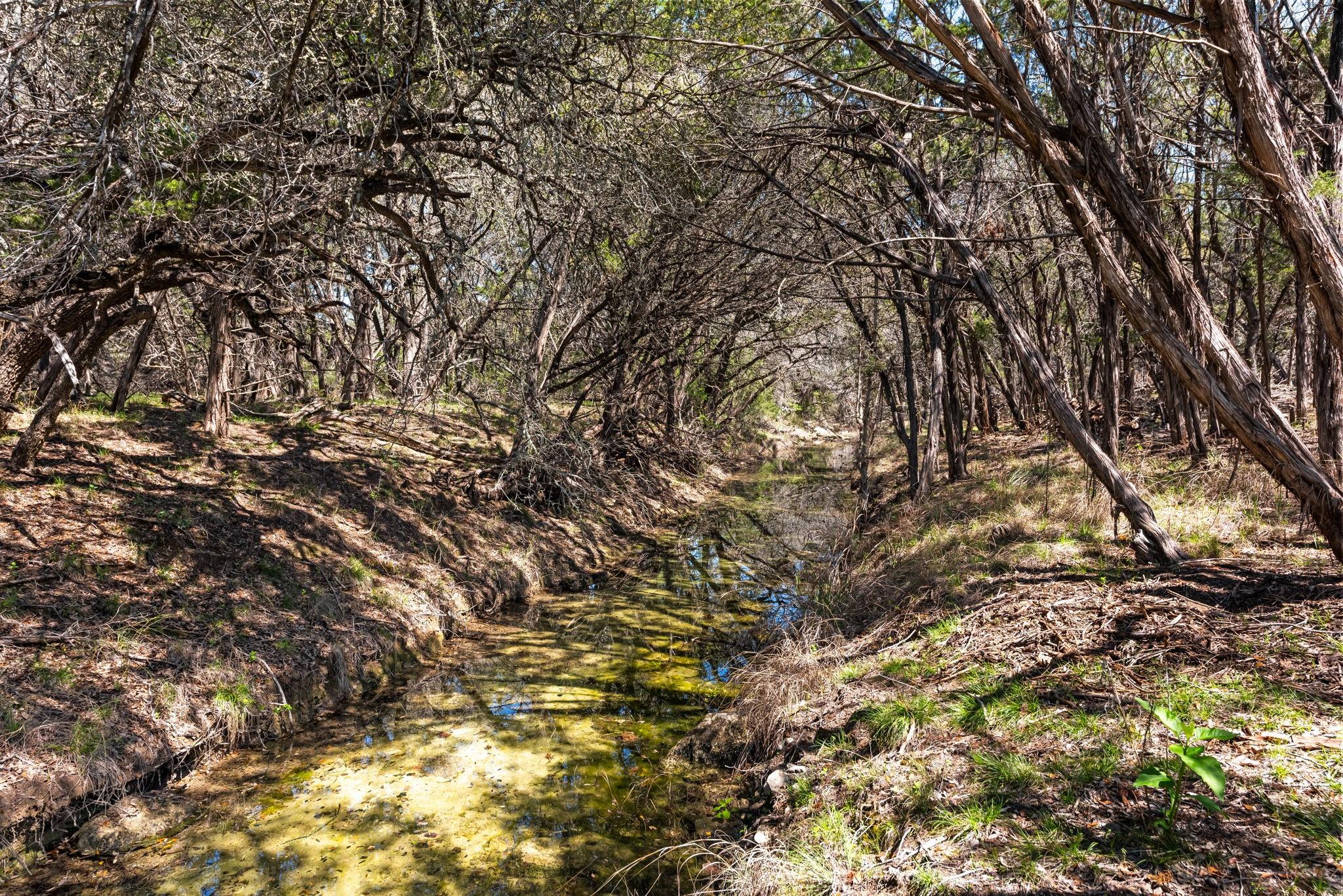 1725 Cripple Creek STA