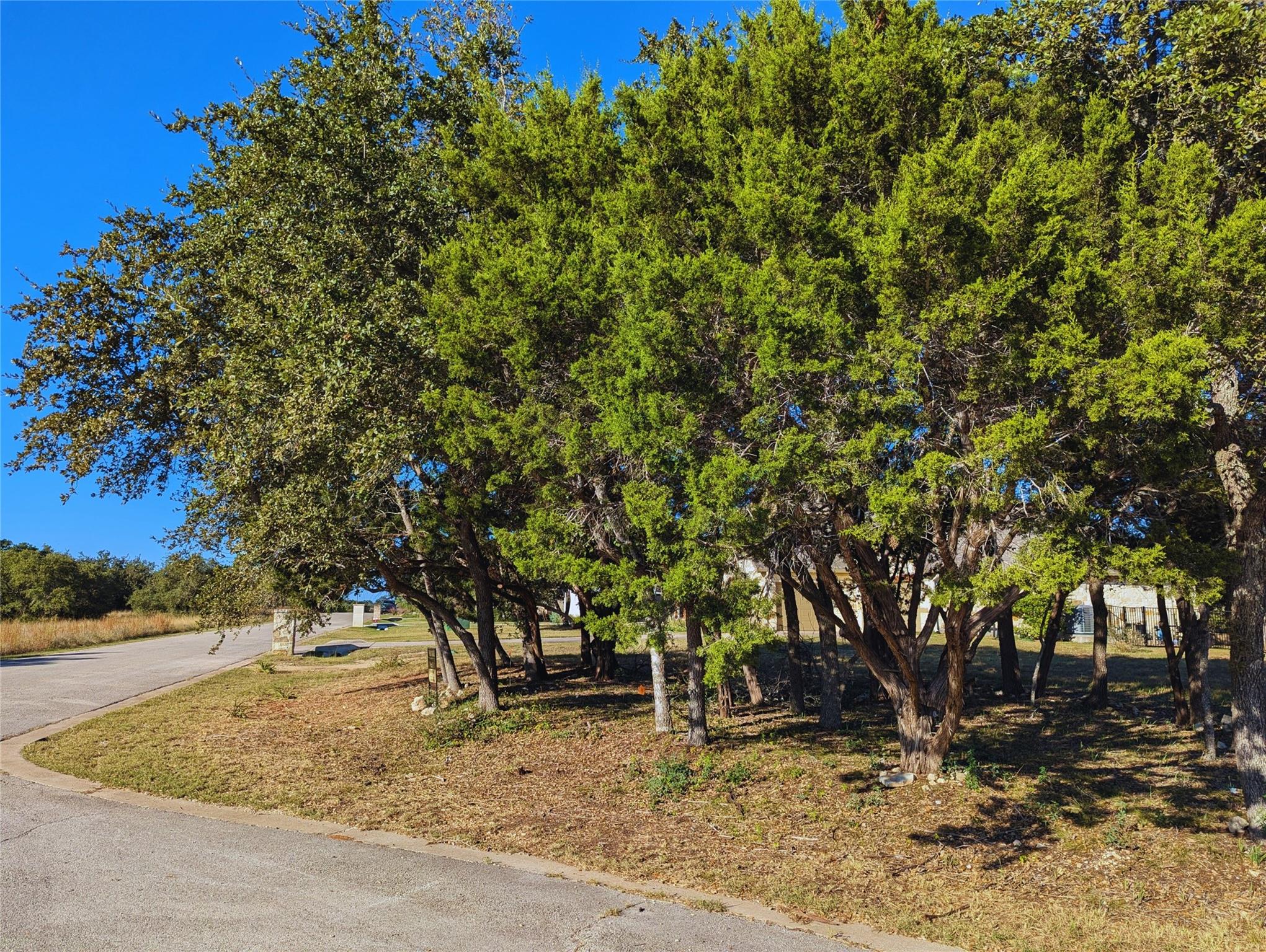 541 Onion Creek LN