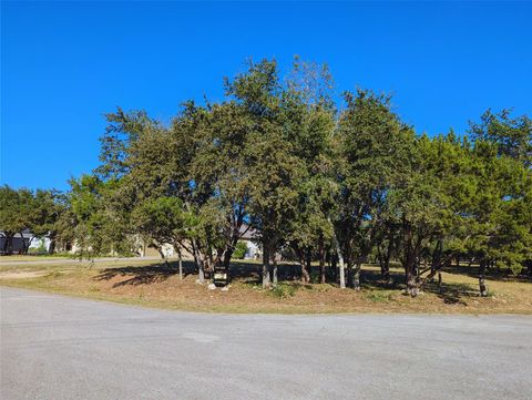 541 Onion Creek LN Driftwood TX 78619