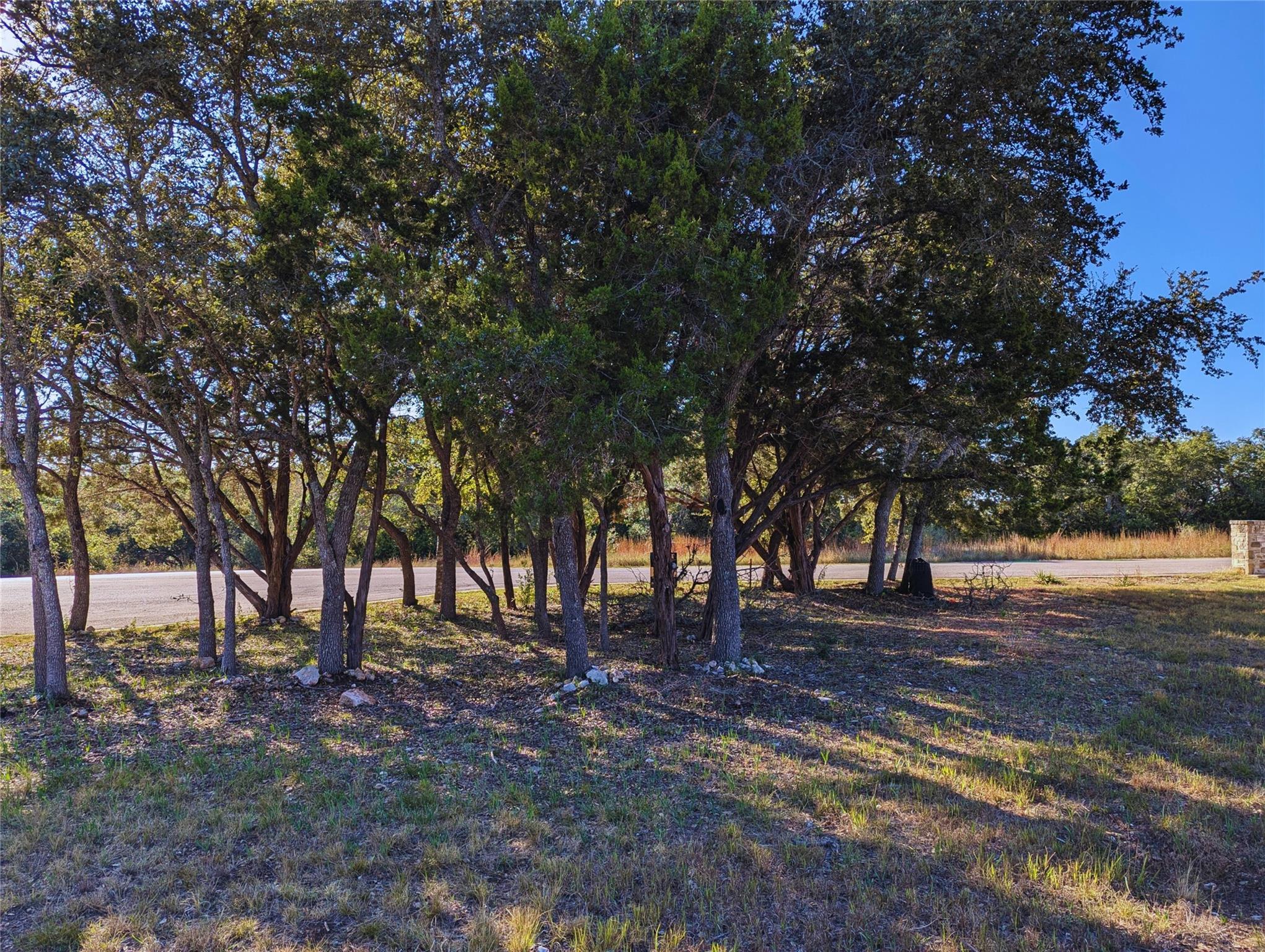 541 Onion Creek LN