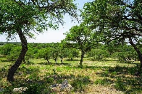 Photo of 101 Mystic Overlook DR, Dripping Springs, TX 78620 (MLS # 3773497)