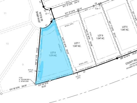 Photo of 340 Joya DR, Liberty Hill, TX 78642 (MLS # 6115246)