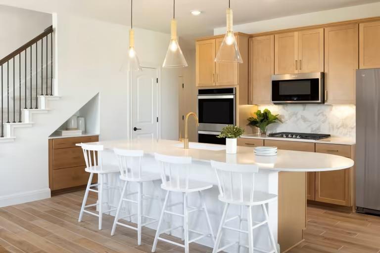 1825 Spring Mountain CV