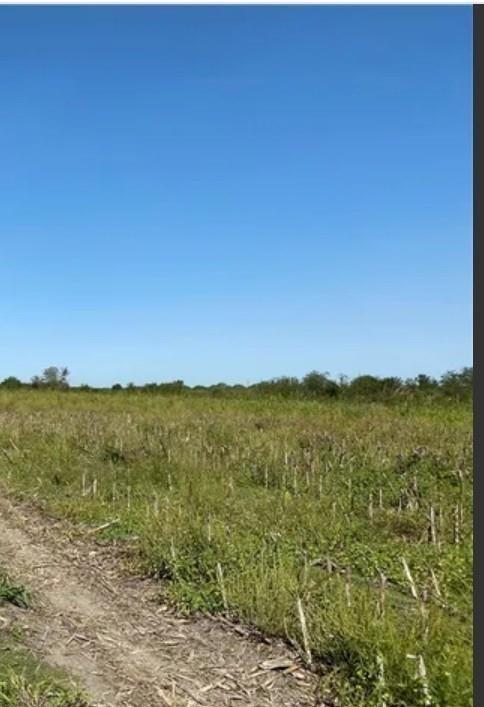 Expansive lot featuring green vegetation under a