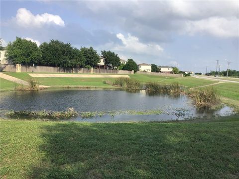 Tiny photo for 1021 Traci Michelle DR, Pflugerville, TX 78660 (MLS # 9832255)