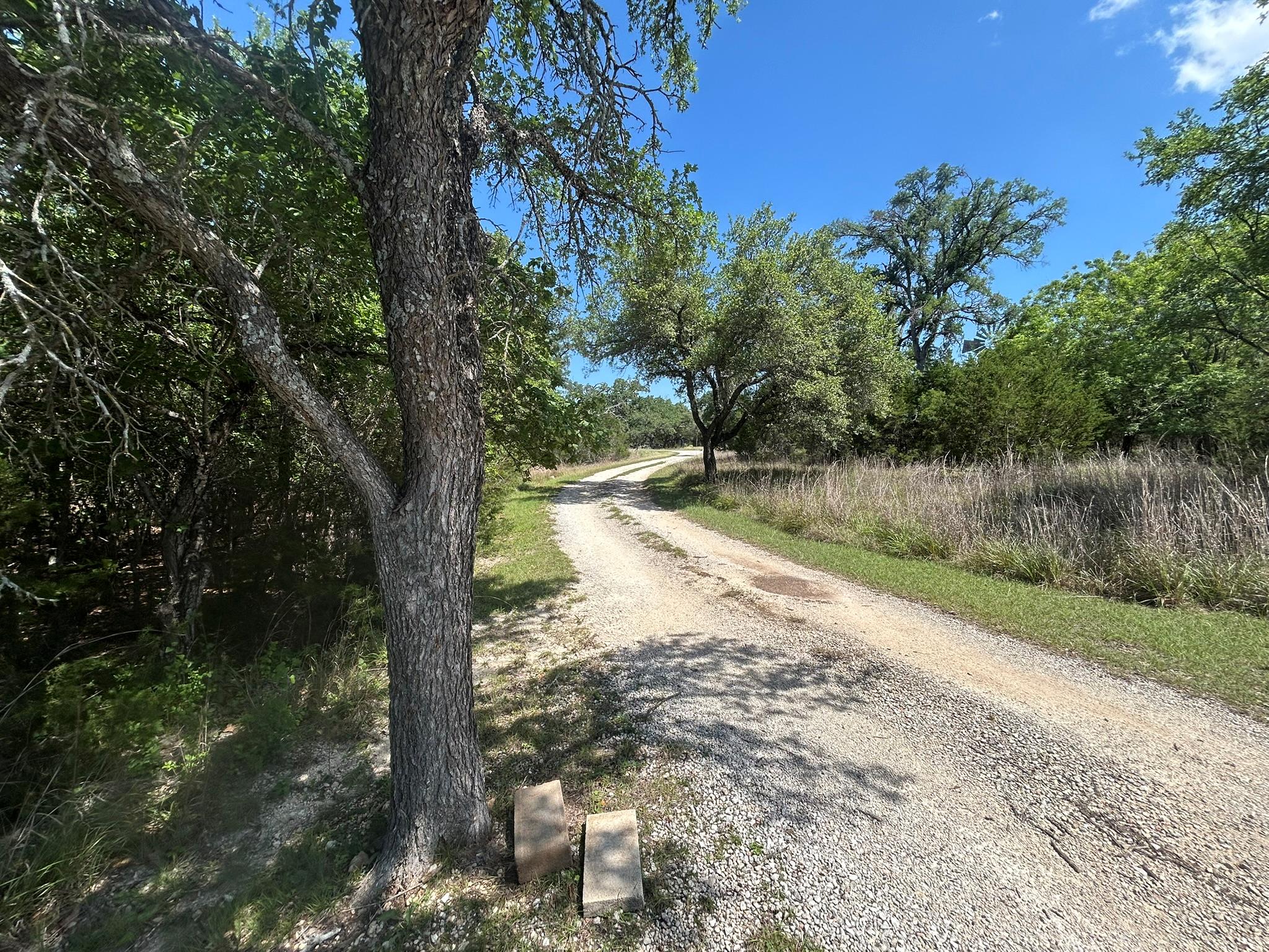 206 Wind Ridge CV