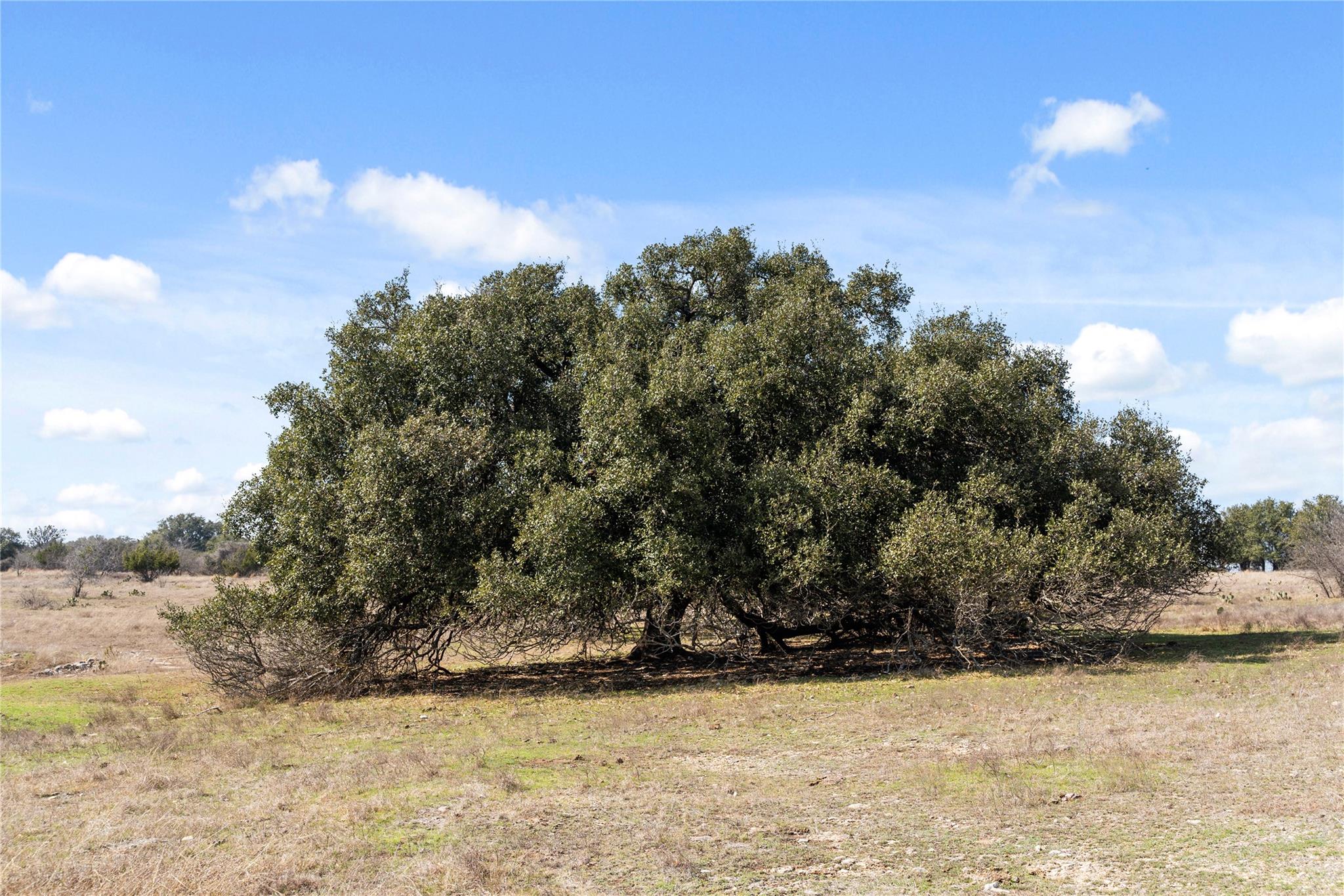 TBD Hidden Springs DR