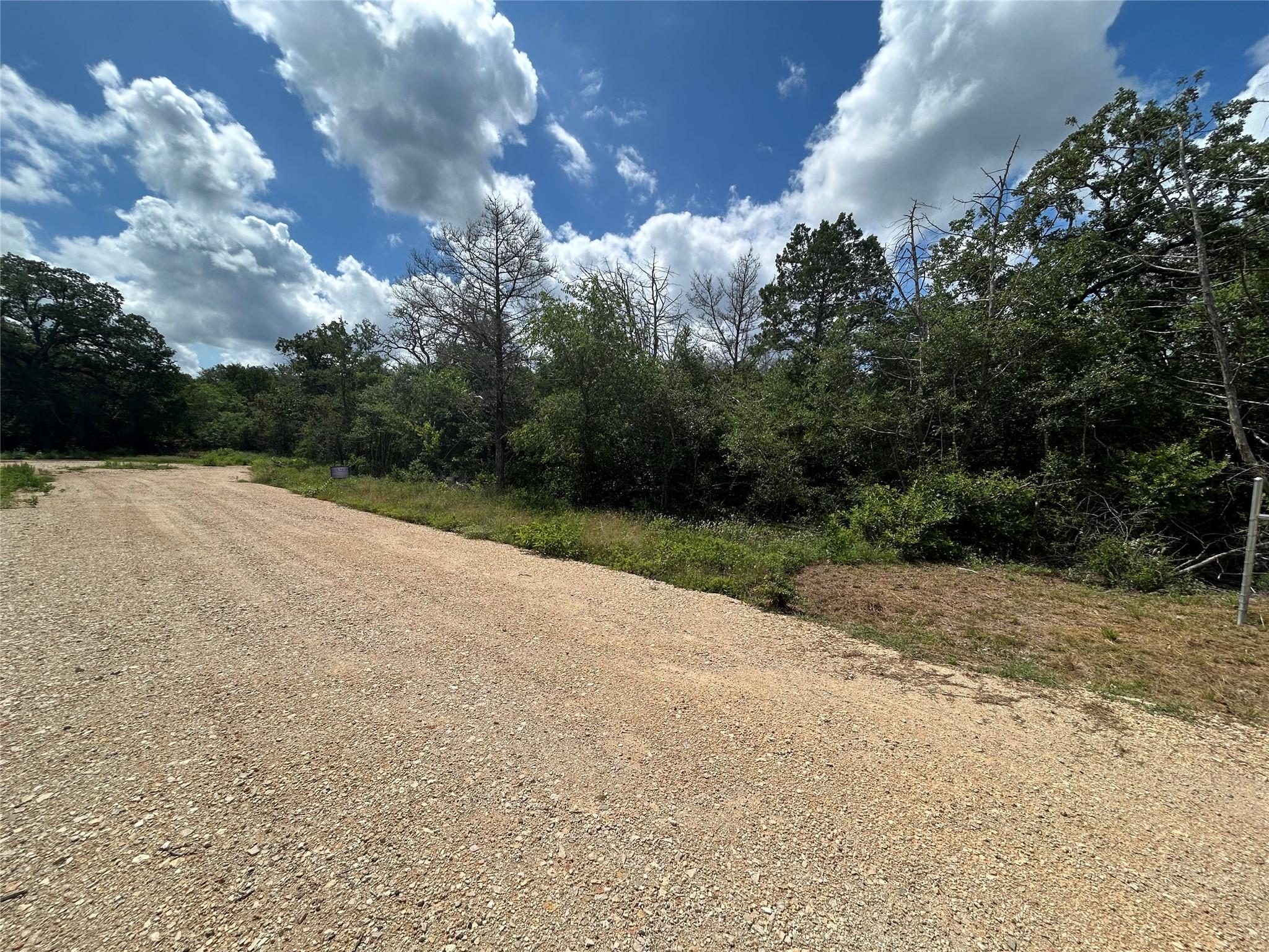 119 C Milam LN