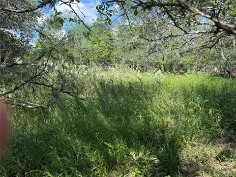 Photo of 232 Mokulua LN, Bastrop, TX 78602 (MLS # 4252673)
