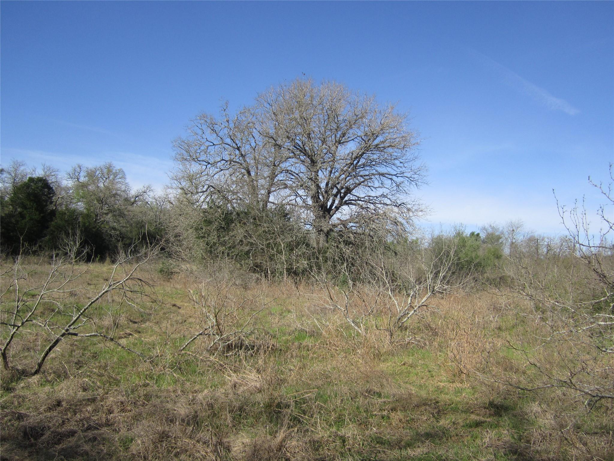 851 County Road 491