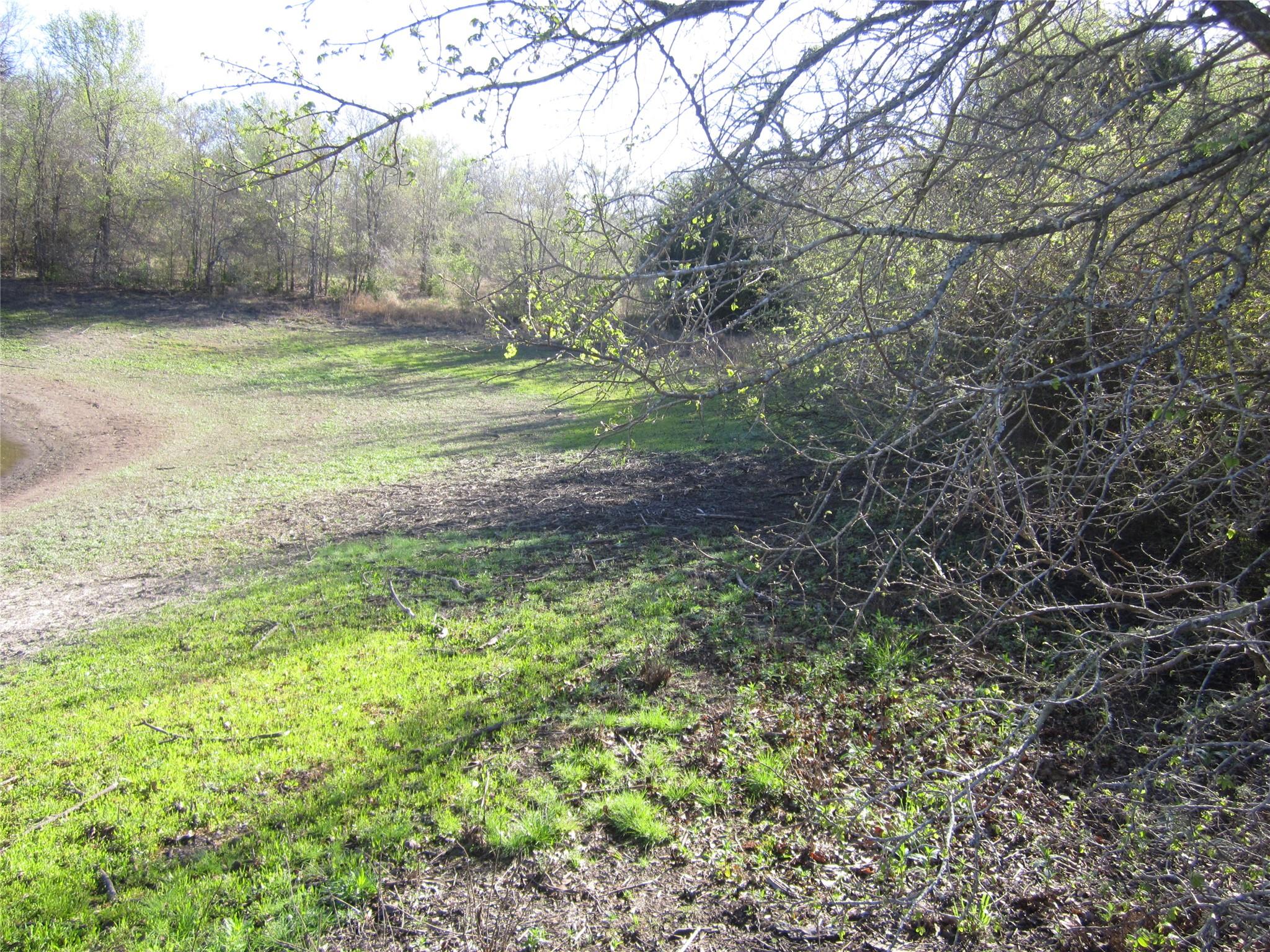851 County Road 491