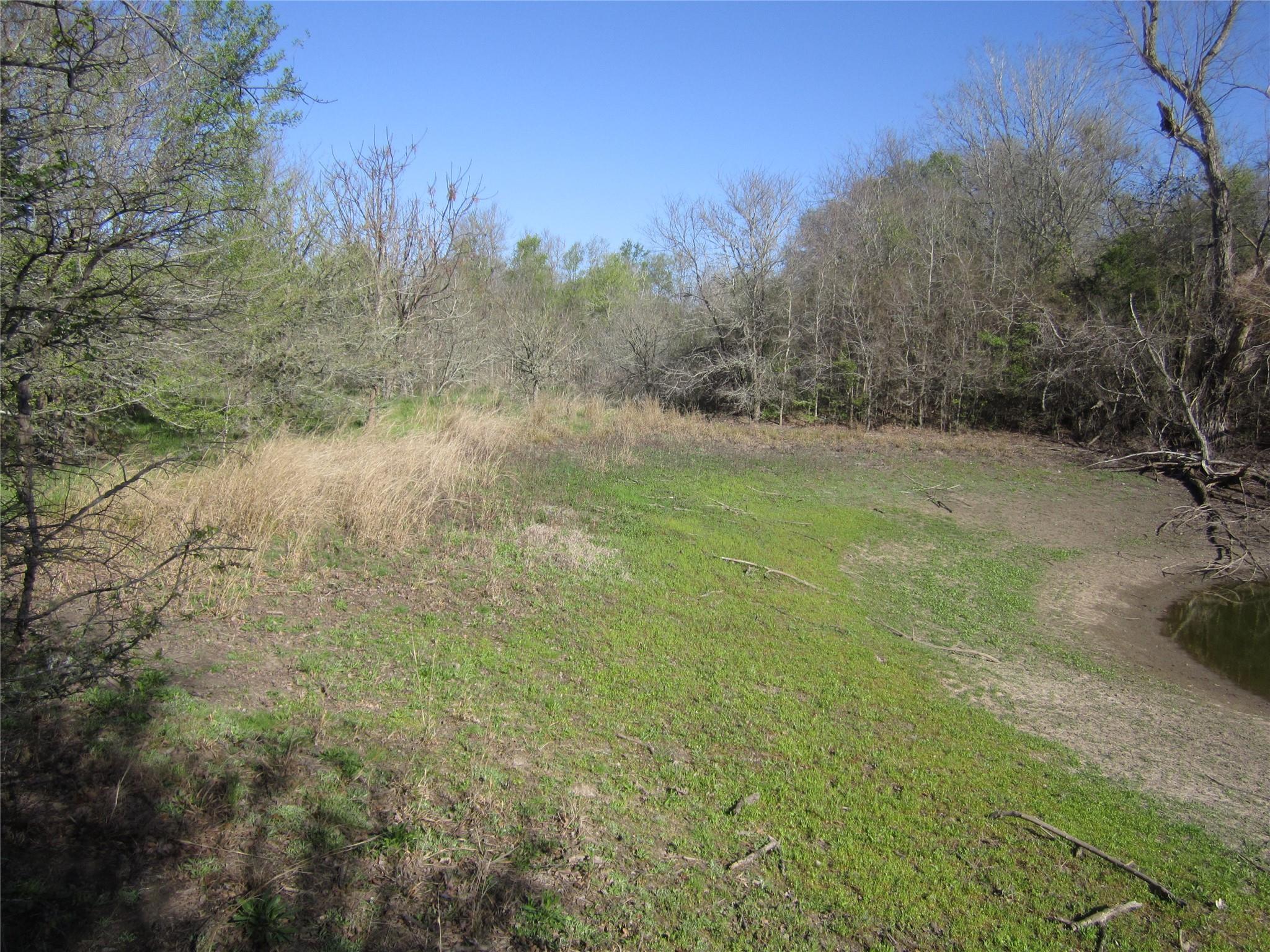 851 County Road 491