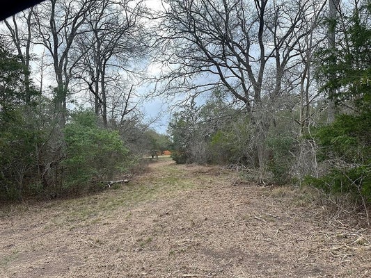 303 FARM TO MARKET RD 609, LA GRANGE, TX 78945 - Image 49b53591e2d813485d72c2d69e3ef4e3/622153529
