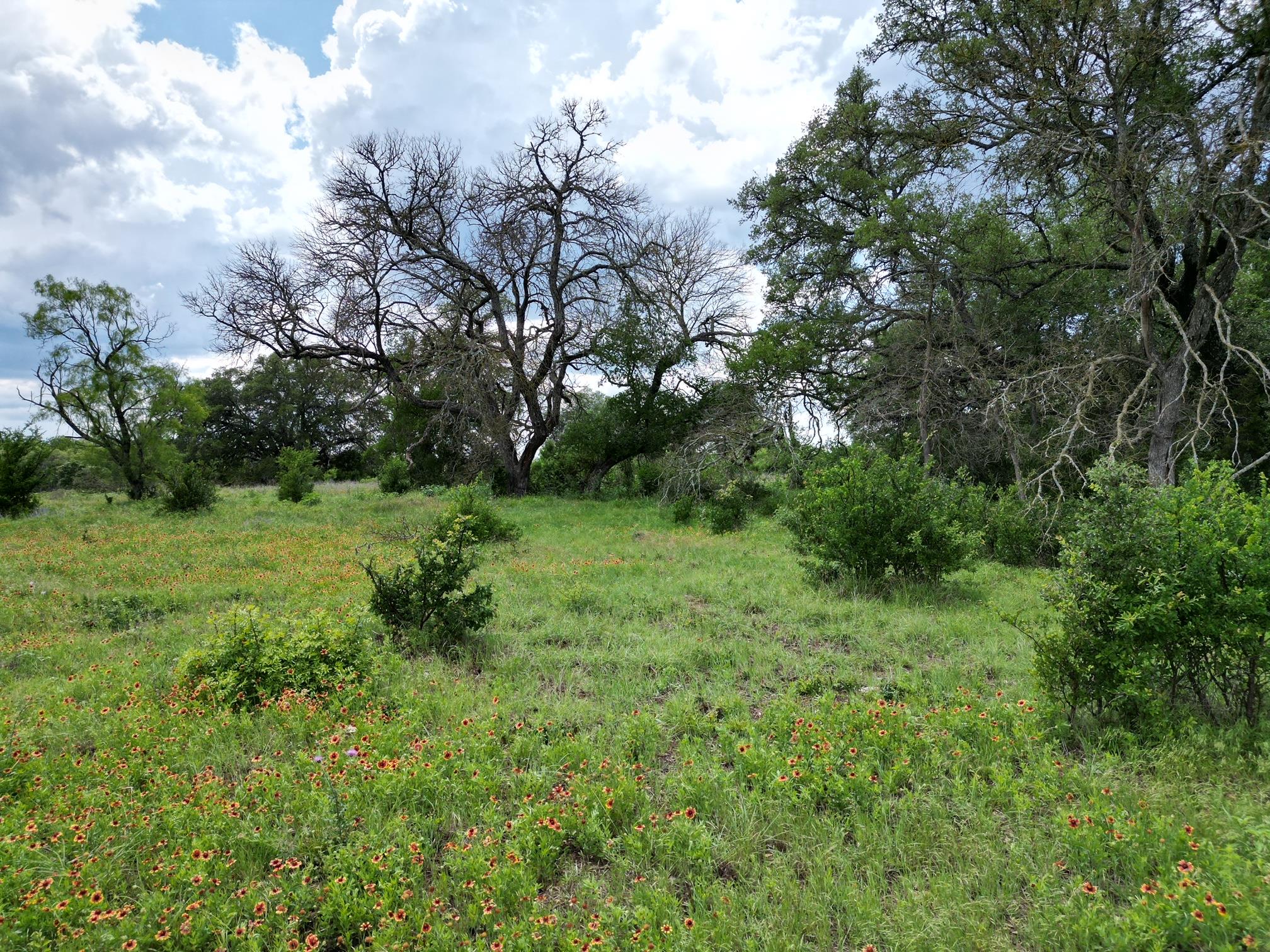 Lot 48 Serenity DR