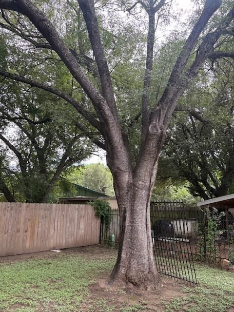 Tiny photo for Austin, TX 78744 (MLS # 7940768)