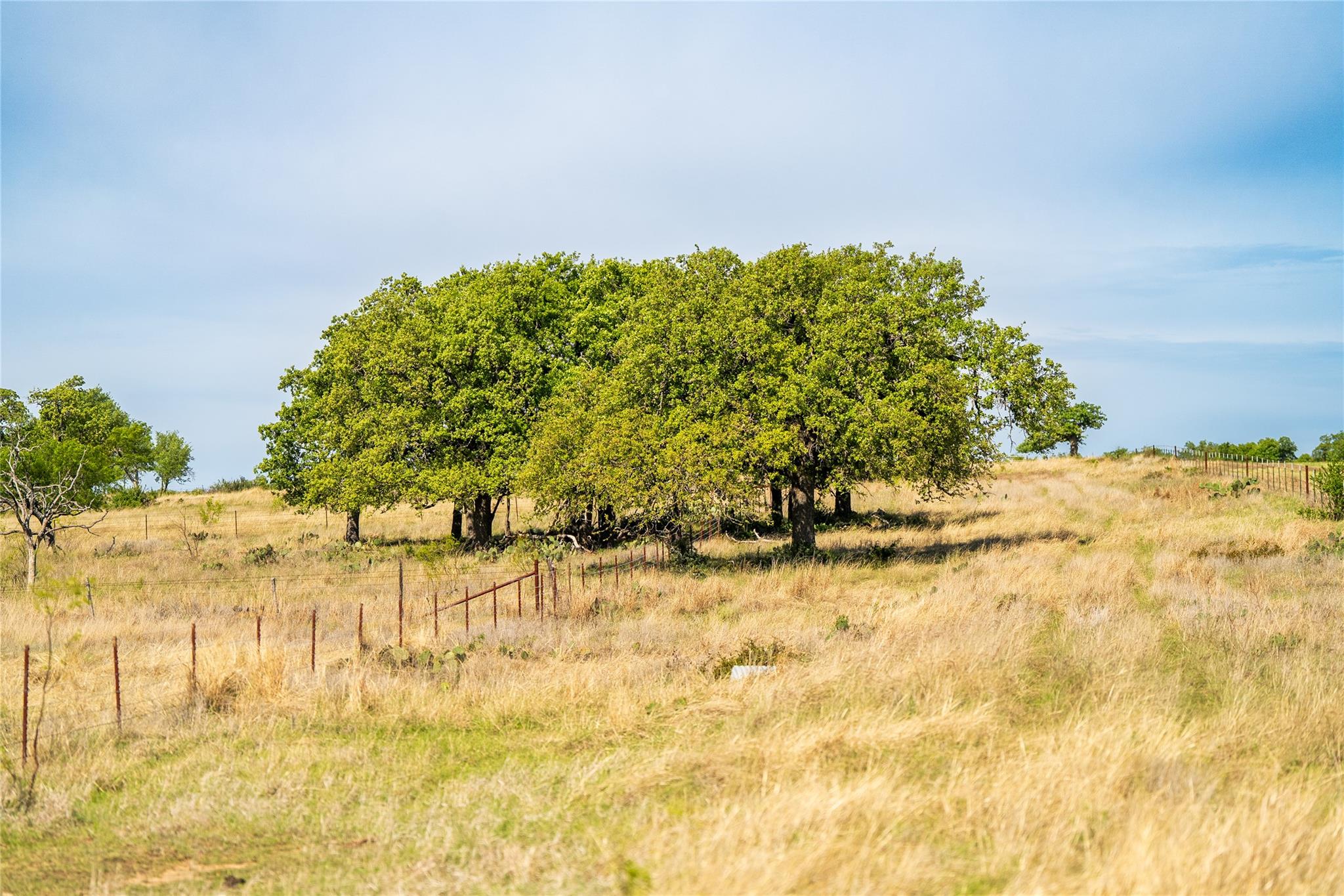 12350-125 N Hwy 16 Highway