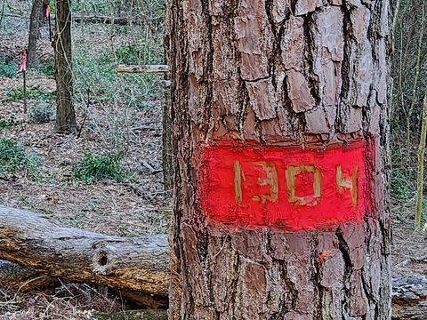 TBD - Lot 1304 Hanauma DR Bastrop TX 78602