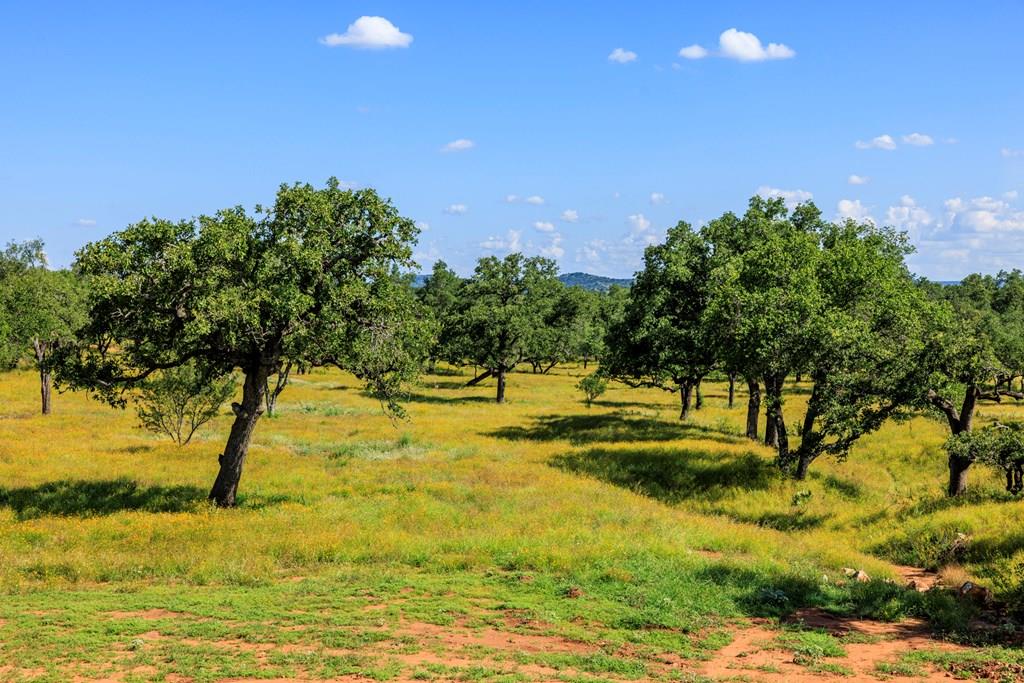 3736-3 County Rd 113