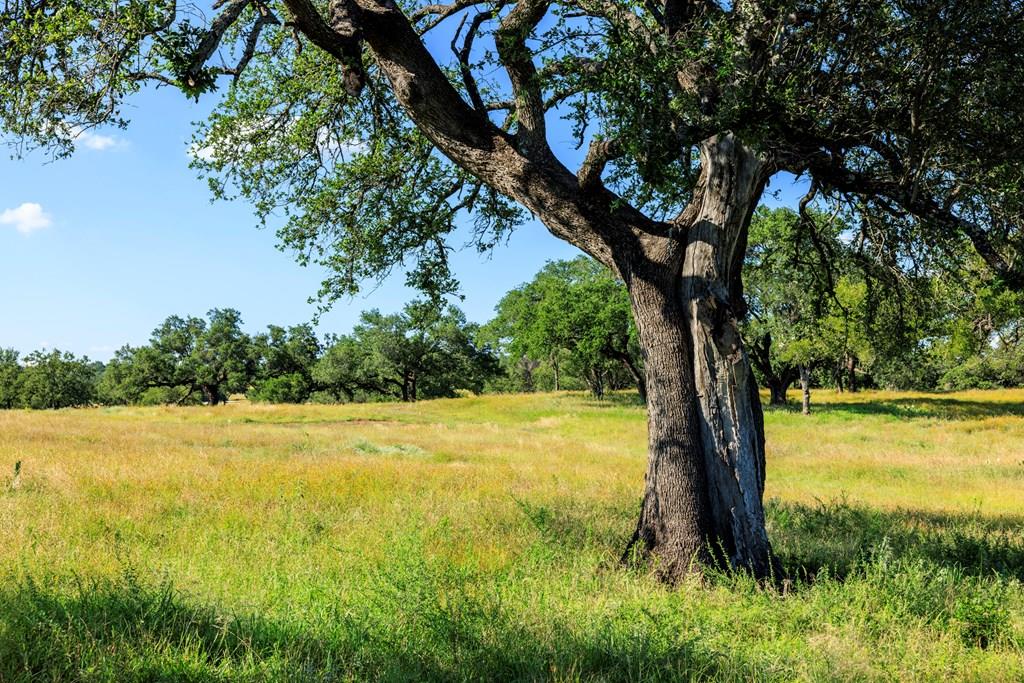 3736-3 County Rd 113