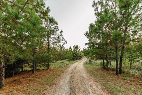 139 Village Forest DR Smithville TX 78957