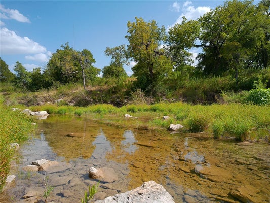 LOT 29 SERENITY DR, BERTRAM, TX 78605 - Image 4ac73f110ea2fded2c3bbd75a4e01556/1713047042