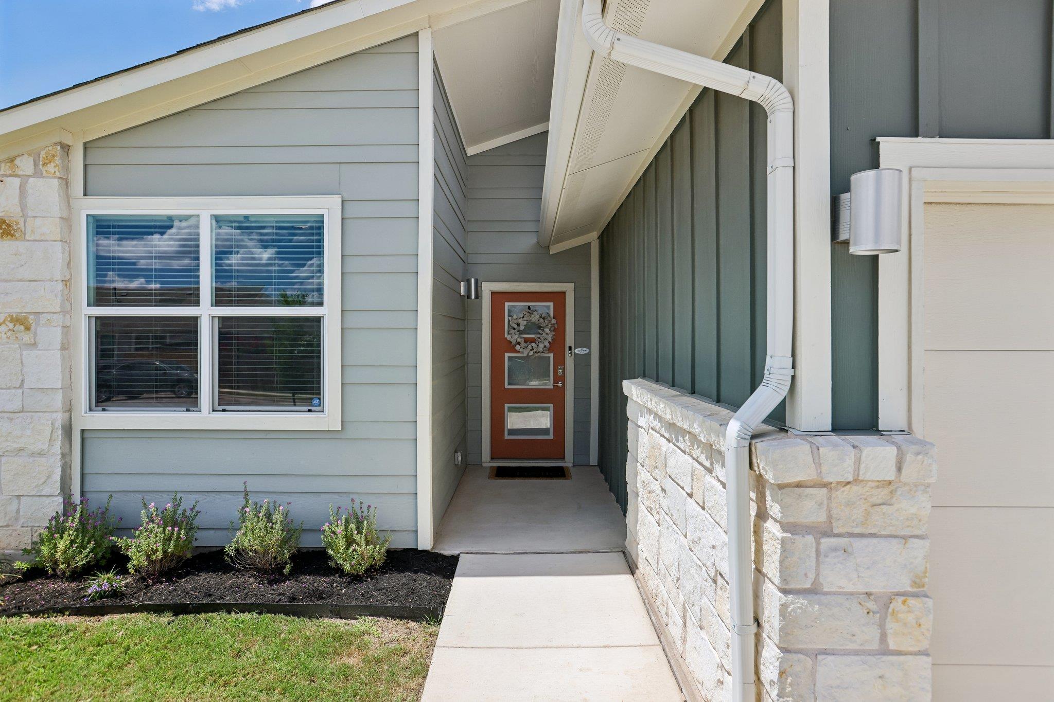 109 Filifera CT