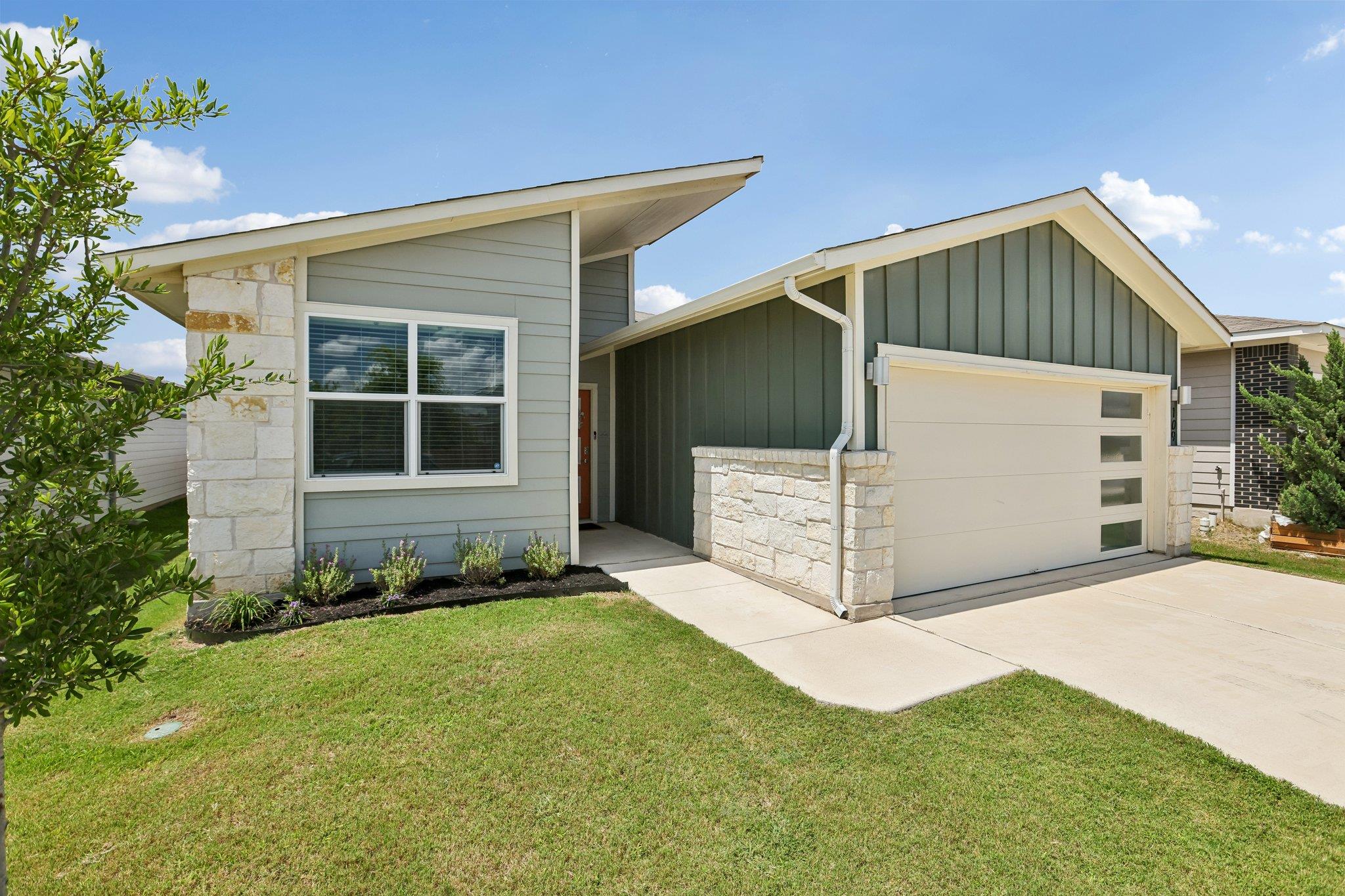 109 Filifera CT