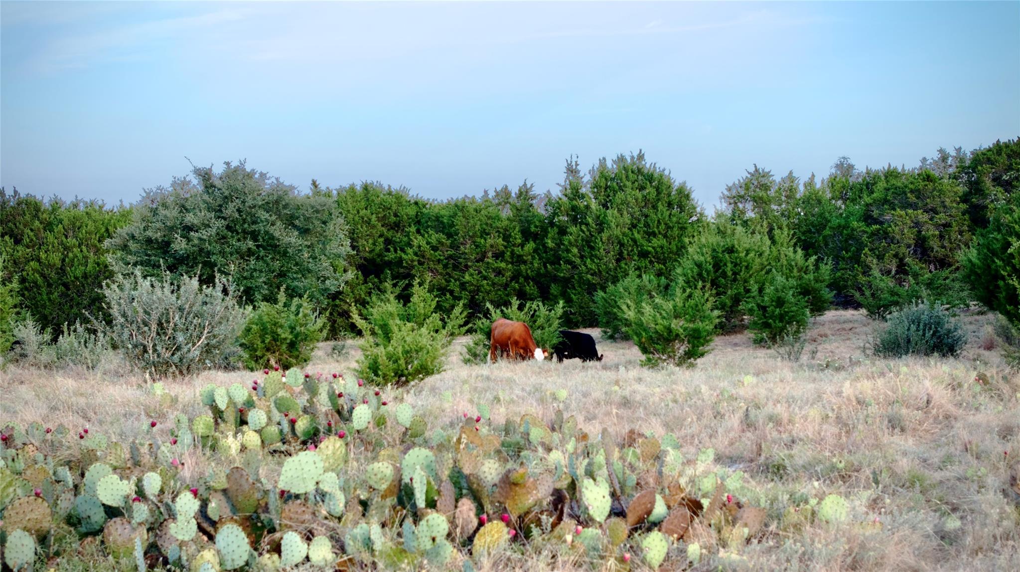 Lot 2A Private Road 1240