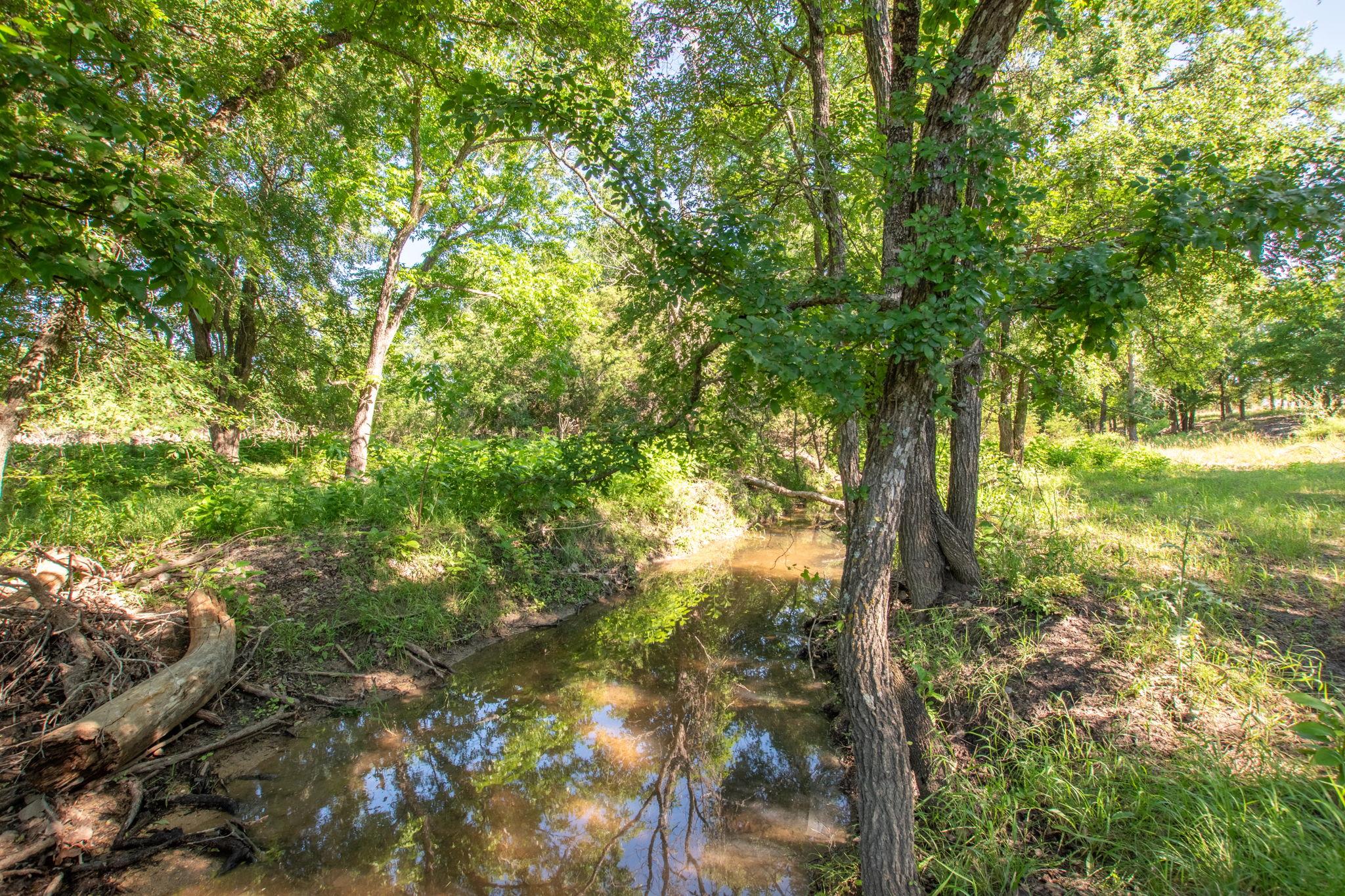 13510 County Road 3642