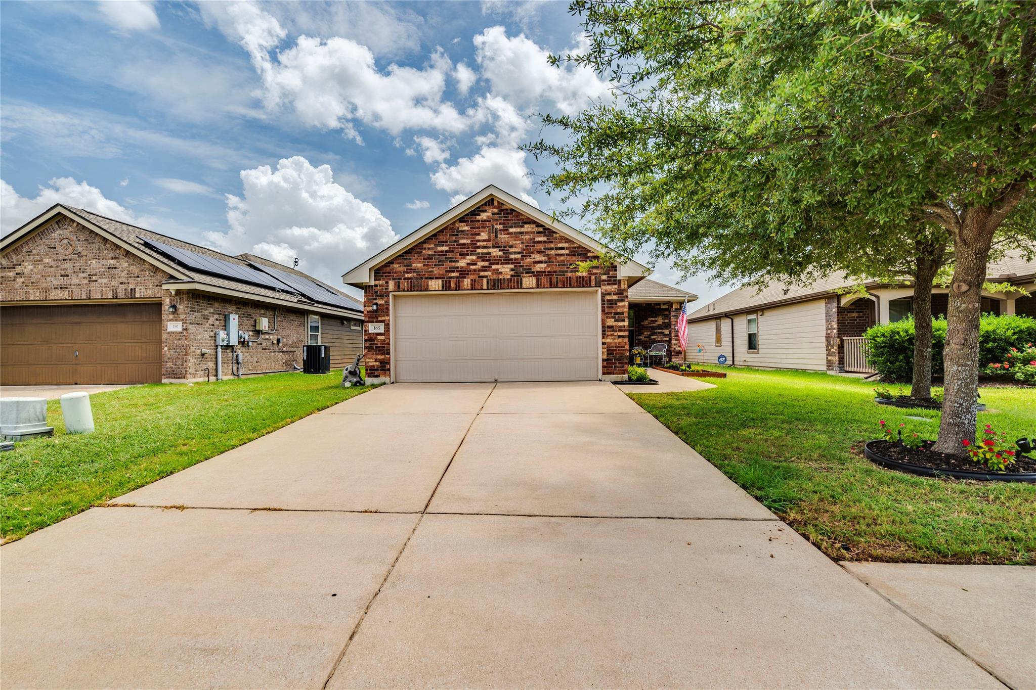 185 Housefinch LOOP