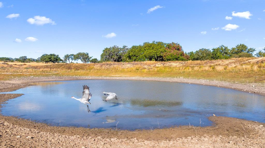 2482 Ranch Road 2721