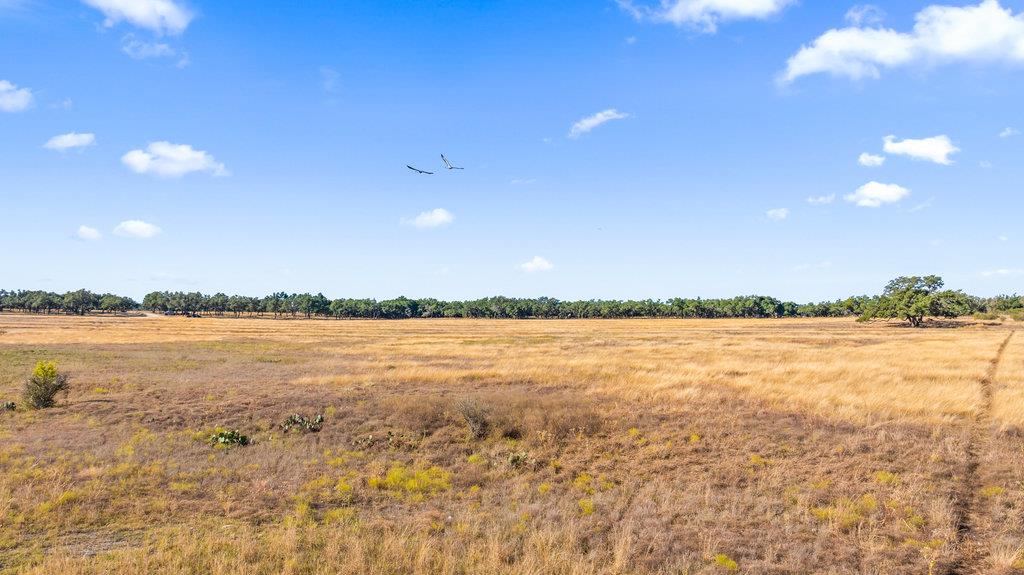 2482 Ranch Road 2721